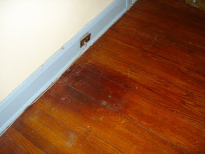 Cat piss on floor Free pictures lesiban fisting
